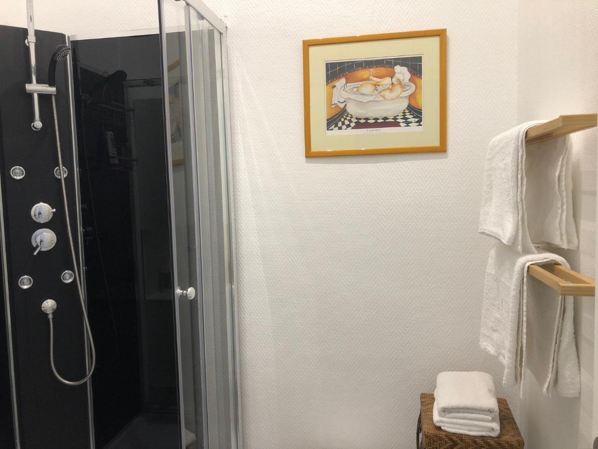 Villa Camelia Grand Studio Quartier Thermal ヴィシー エクステリア 写真